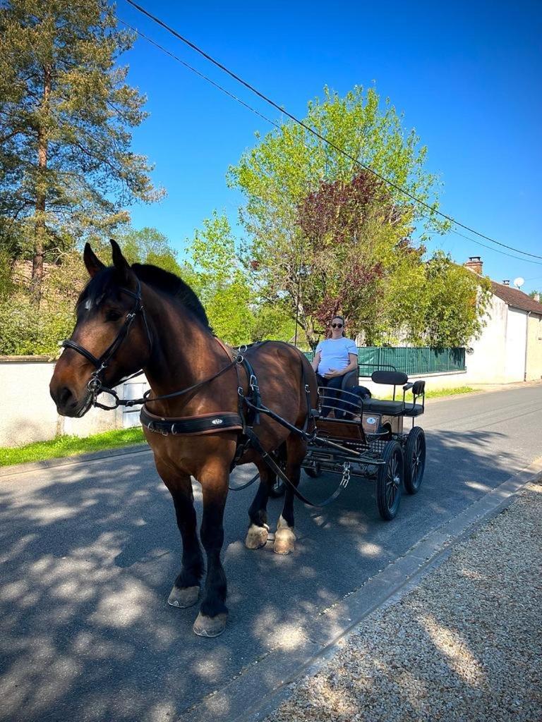 Le Gite De Gaia Hotel Villemer  ภายนอก รูปภาพ